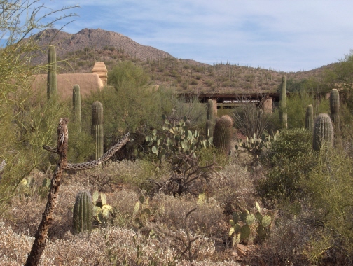 Arizona-Sonora Desert Museum